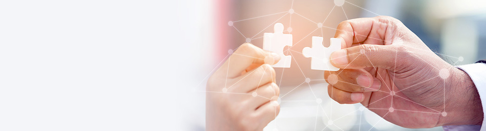 Cooperations and projects